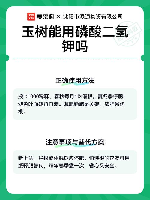 玉树能用磷酸二氢钾吗?正确使用让叶片肥厚、枝干强壮 二、具体怎么用?浓度和方法是关键