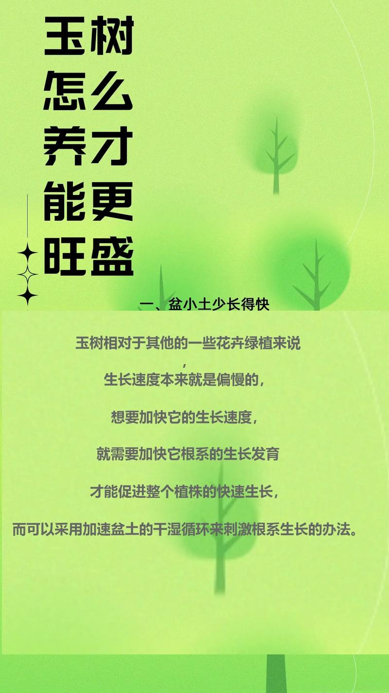 玉树能用磷酸二氢钾吗?正确使用让叶片肥厚、枝干强壮 四、别忘了“以氮为主,磷钾为辅”