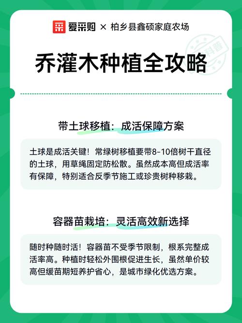 乔灌木移栽适宜时间全攻略 三、栽前处理