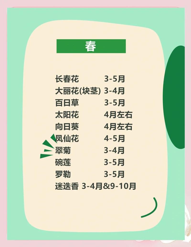 乔灌木移栽适宜时间全攻略 五、浇定根水