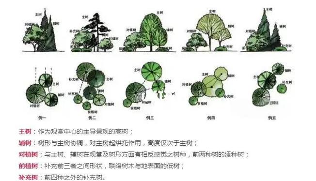 乔灌木移栽适宜时间全攻略 四、栽植深度