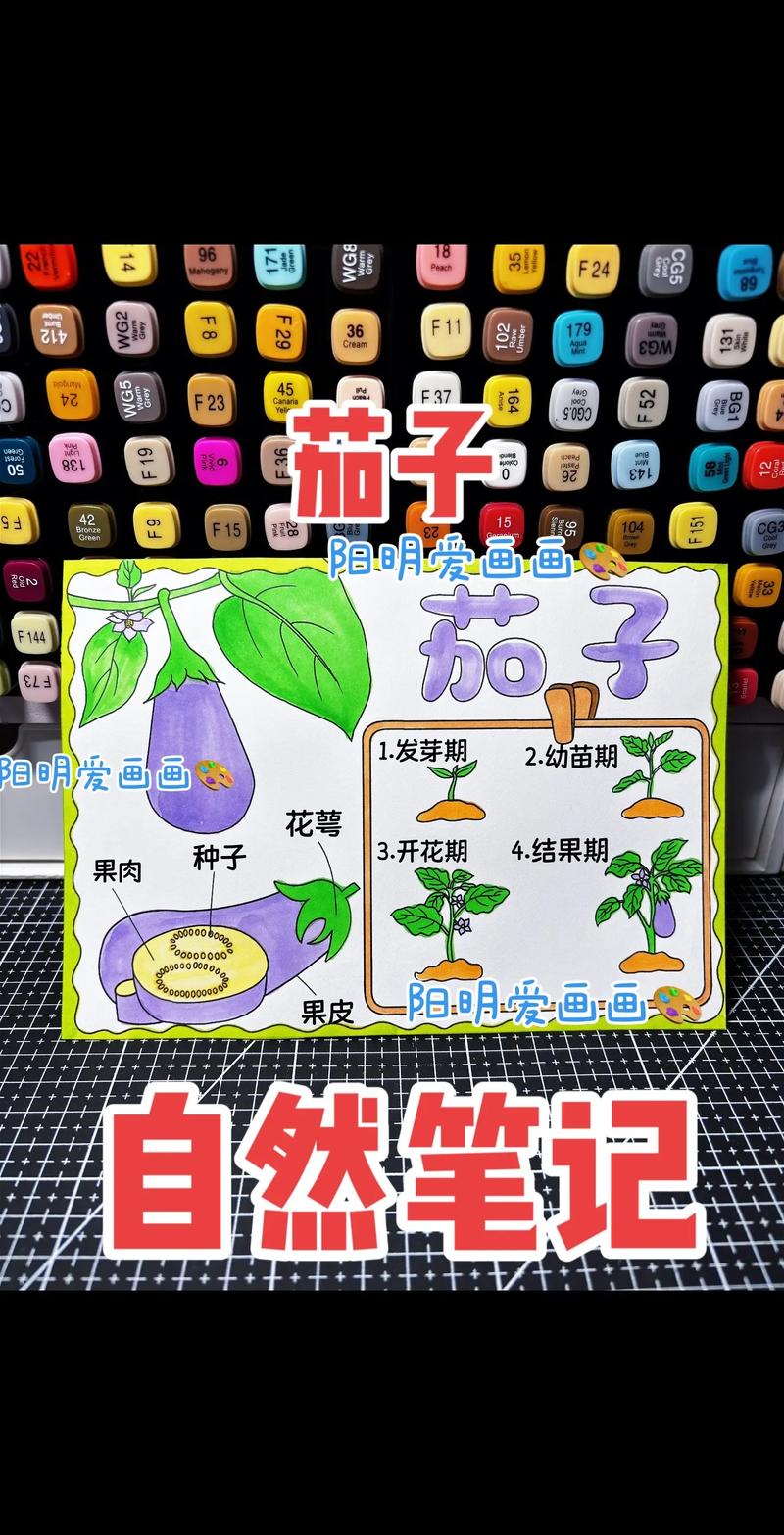 怎么育茄子苗?从选种到壮苗的完整操作指南 三、苗期管理要点