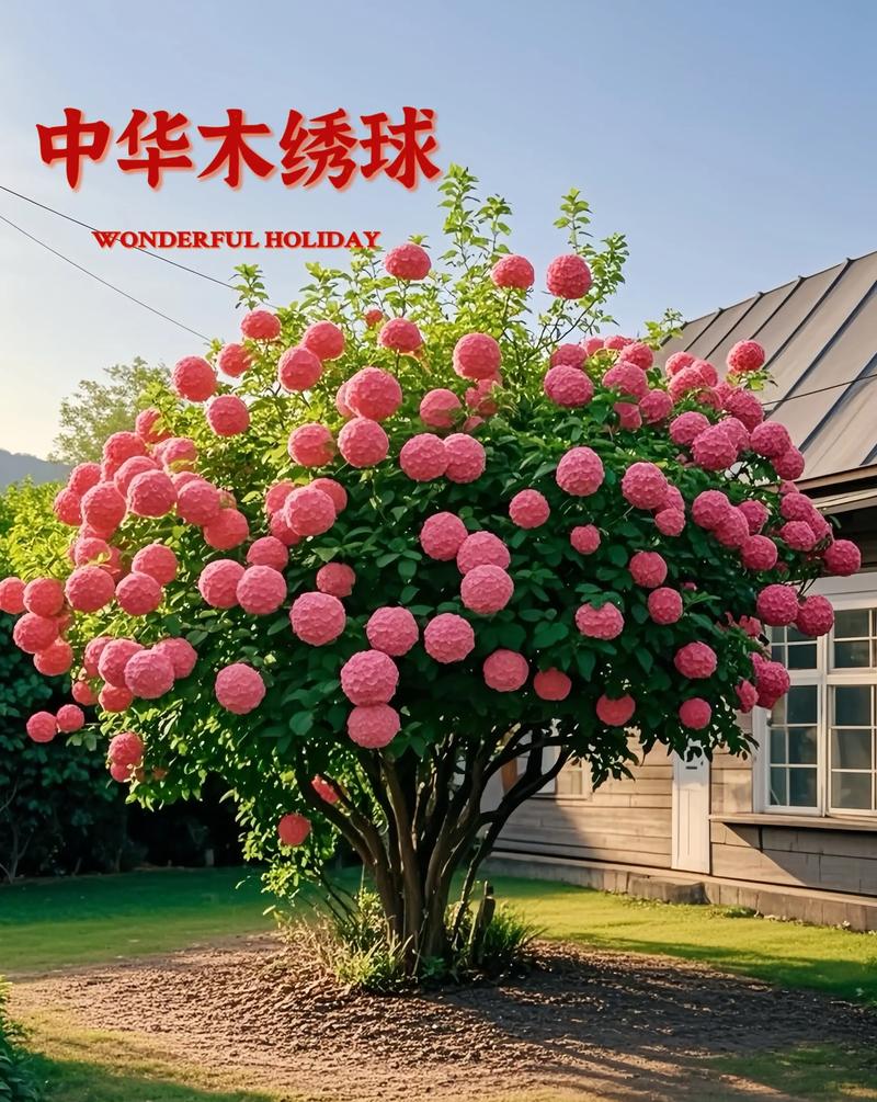 价格咨询指南