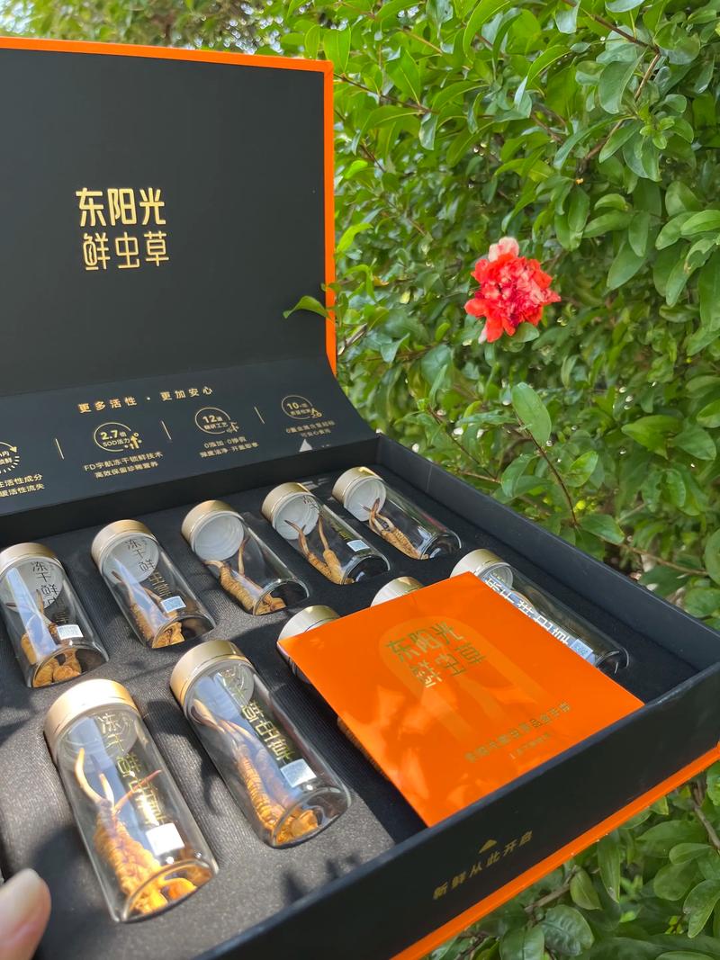 鲜虫草一斤大概多少根?详解规格、挑选与保存要点 为什么不同地区根数有差异?