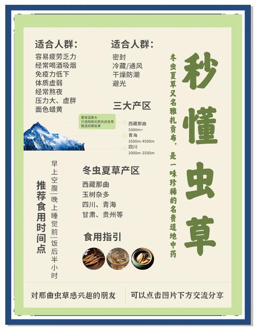 鲜虫草一斤大概多少根?详解规格、挑选与保存要点 如何通过“根数”判断鲜虫草好坏?