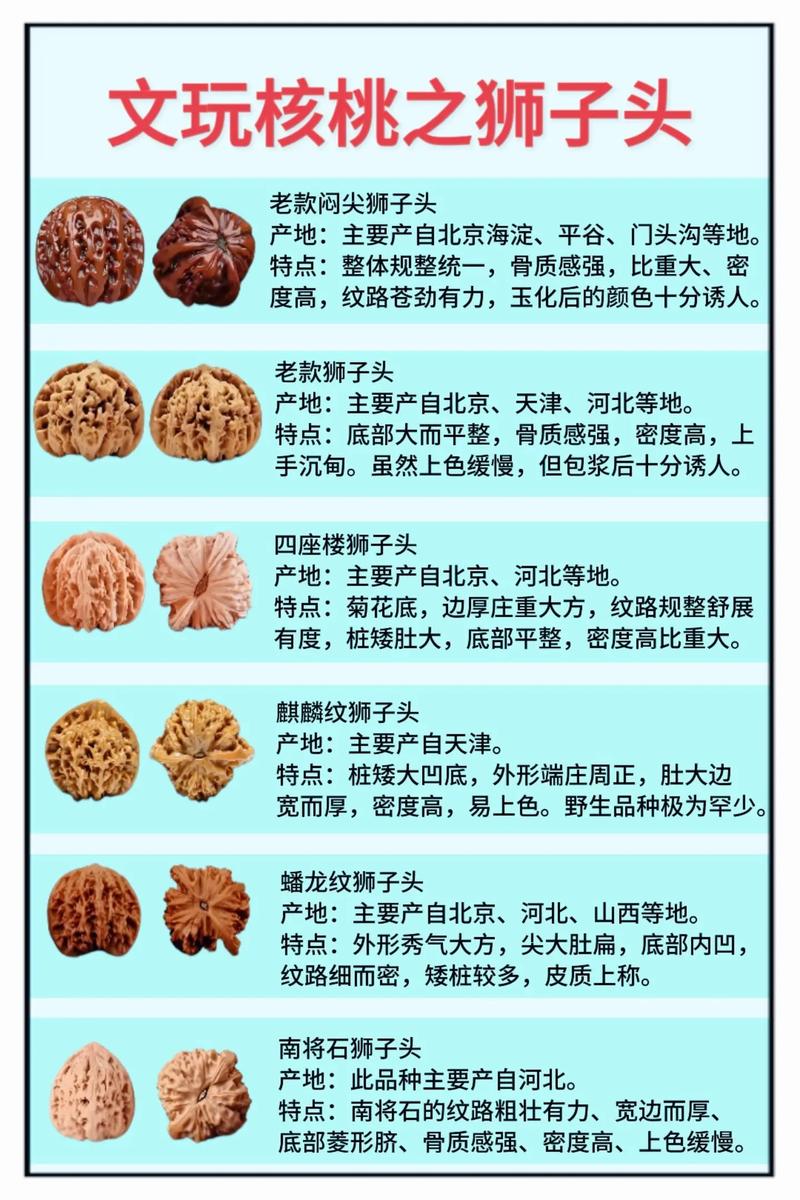 狮子头核桃哪个品种好?2026年四大热门品种六维对比与选购指南 各维度逻辑解释与量化依据