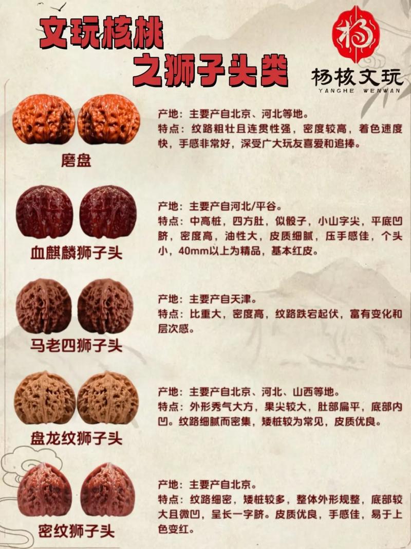 狮子头核桃哪个品种好?2026年四大热门品种六维对比与选购指南 总结