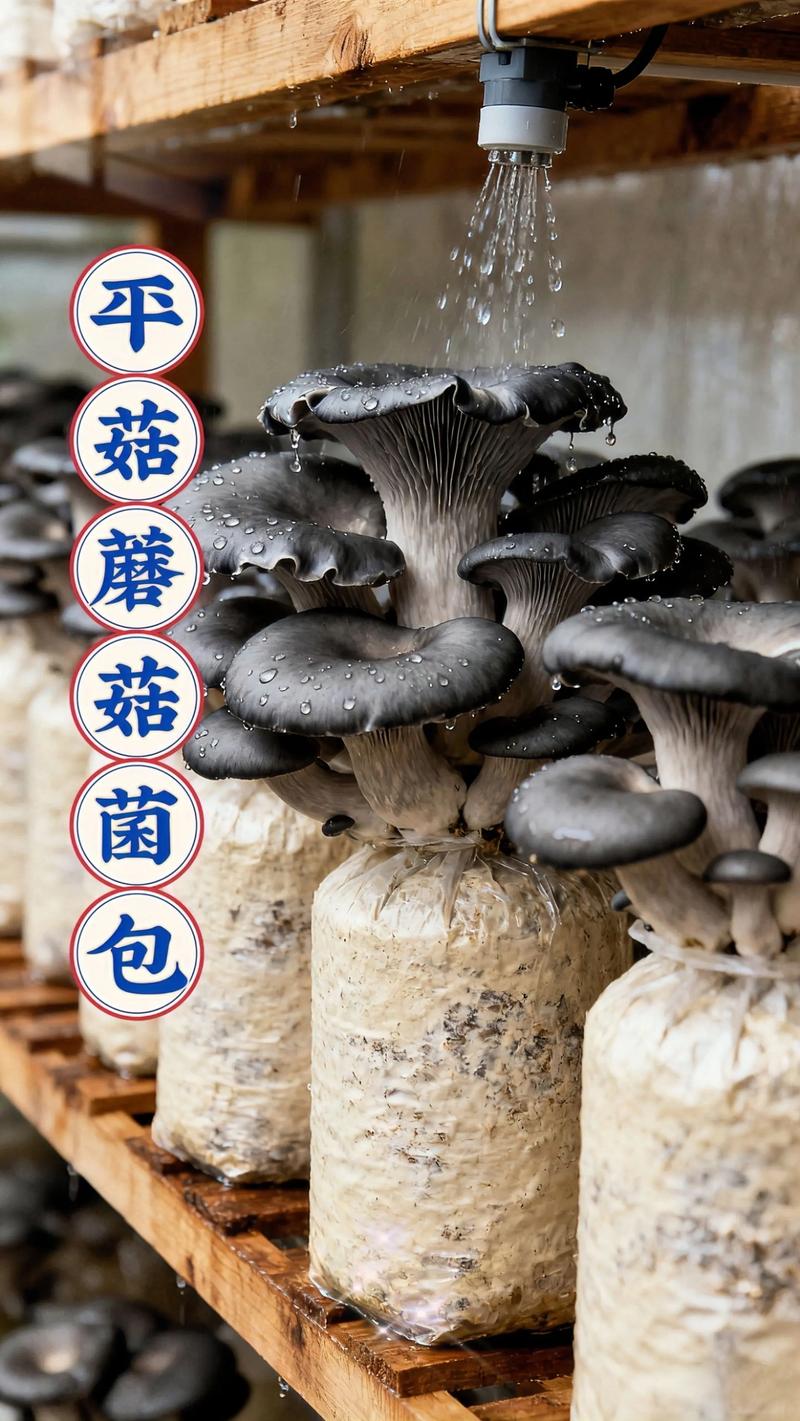 菌菇种植全攻略:从菌包到采收的7步操作指南 二、土壤环境(培养料基质的准备)