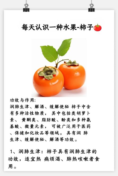 宁夏种柿子树全攻略:品种选择、关键技术与管理要点 采购苗木质量判断:三重检验标准