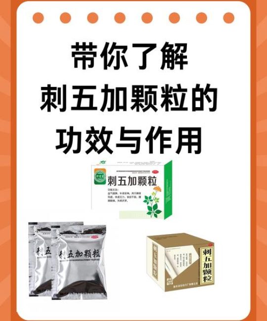 刺五加的药用价值、食用方法与安全禁忌