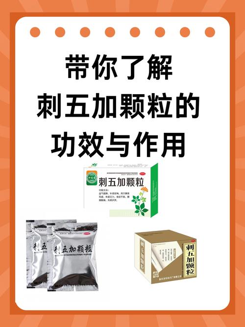 刺五加的药用价值、食用方法与安全禁忌 刺五加的药用价值、食用方法与安全禁忌