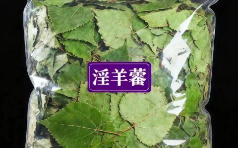 淫羊藿种苗多少钱一株？2024价格区间与采购指南