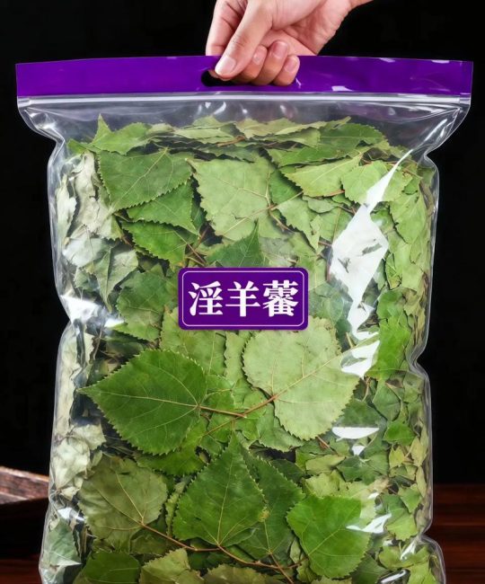 淫羊藿种苗多少钱一株？2024价格区间与采购指南