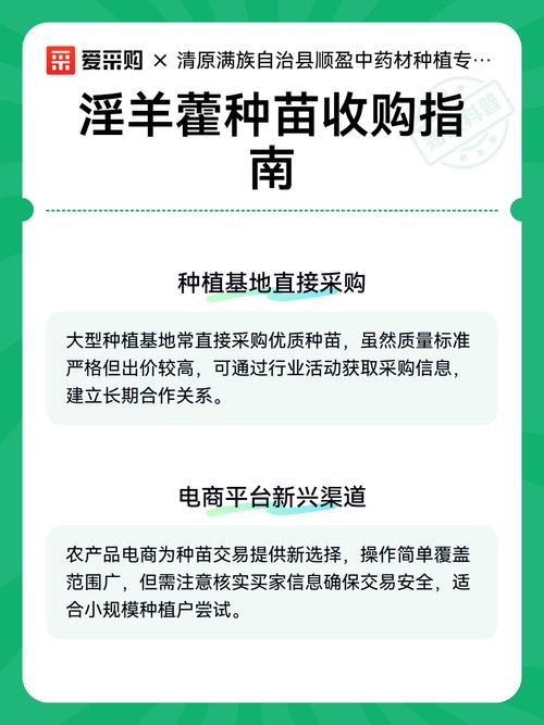 淫羊藿种苗多少钱一株?2024价格区间与采购指南 综合对比表