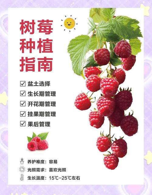 红梅种植用什么土?新手也能掌握的完整种植指南 四、栽植深度