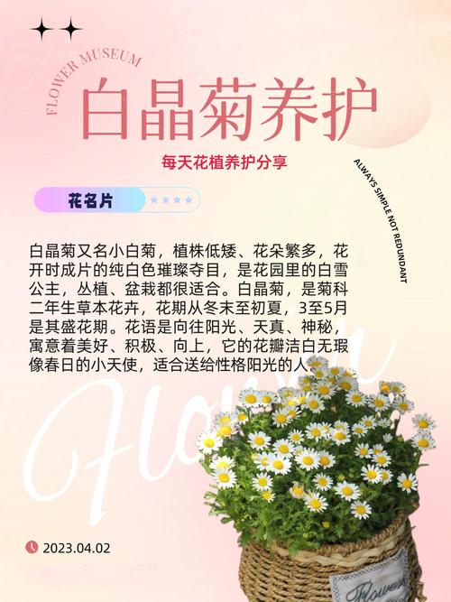 品种基础档案：杭白菊的生物学特性