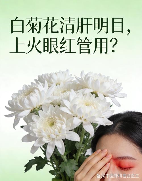 盆栽/地栽选择决策