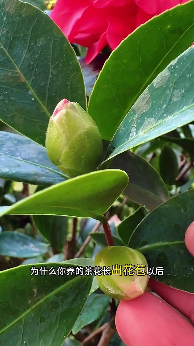 总结