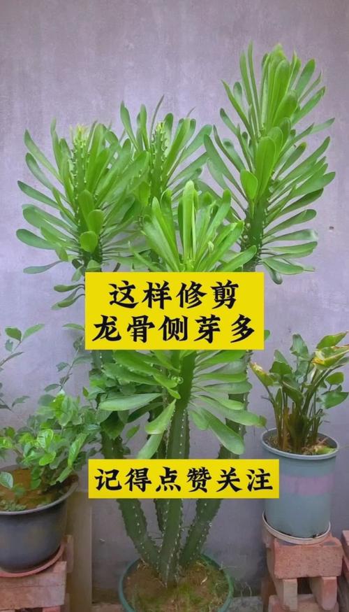 一、适宜时间