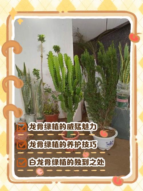 三、栽前处理