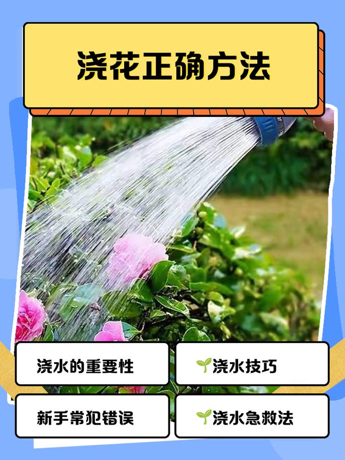 六、结论