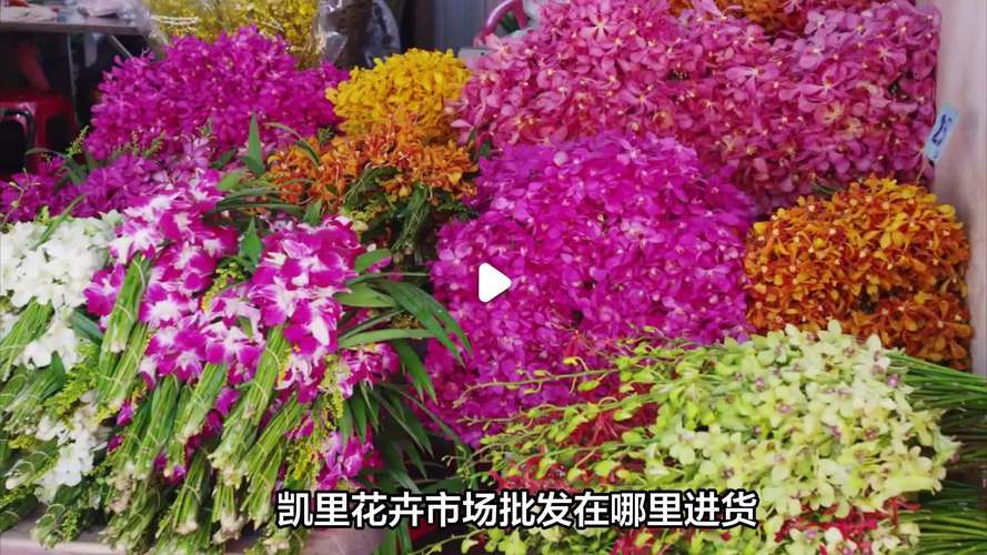 花卉种子哪里批发?采购渠道分析与供应商核查指南 第一步:明确需求并筛选候选渠道