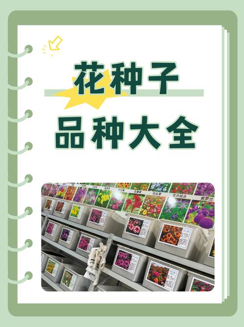 花卉种子哪里批发?采购渠道分析与供应商核查指南 总结:核心可执行动作3条