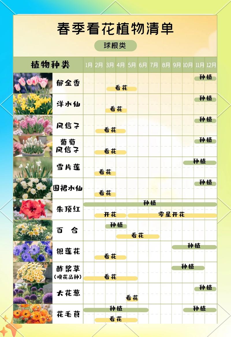 哪里批发花卉?一份科学、严谨的采购渠道自查指南 第五步:售后补苗政策与书面约定