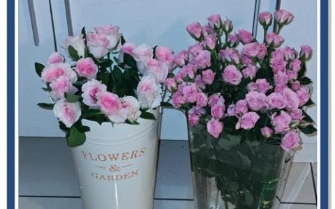 鲜花拿回来怎么醒花？资深花友教你5个步骤，让鲜花瞬间复活