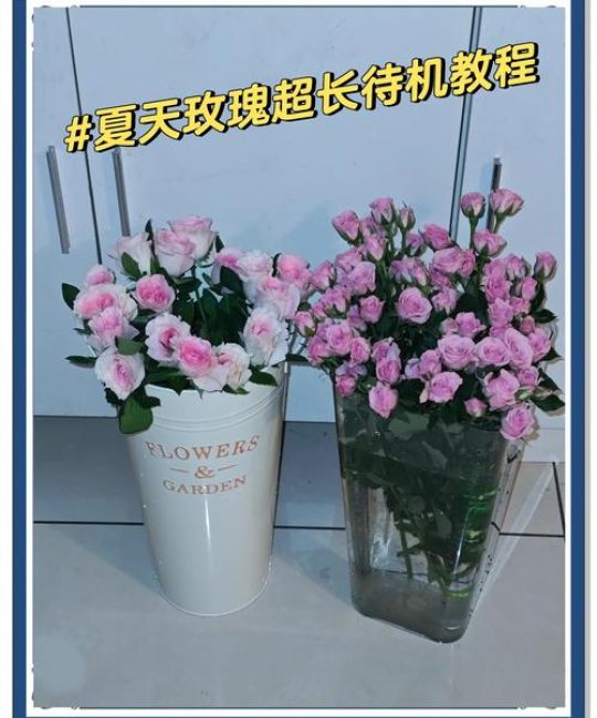 鲜花拿回来怎么醒花？资深花友教你5个步骤，让鲜花瞬间复活