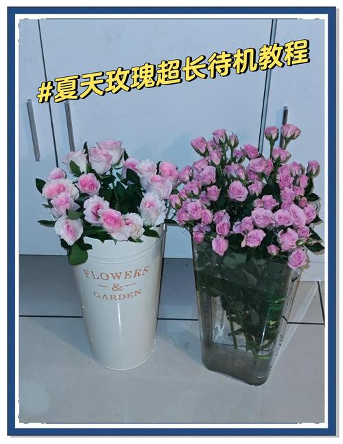 鲜花拿回来怎么醒花?资深花友教你5个步骤,让鲜花瞬间复活 第一步:拆包装,检查状态