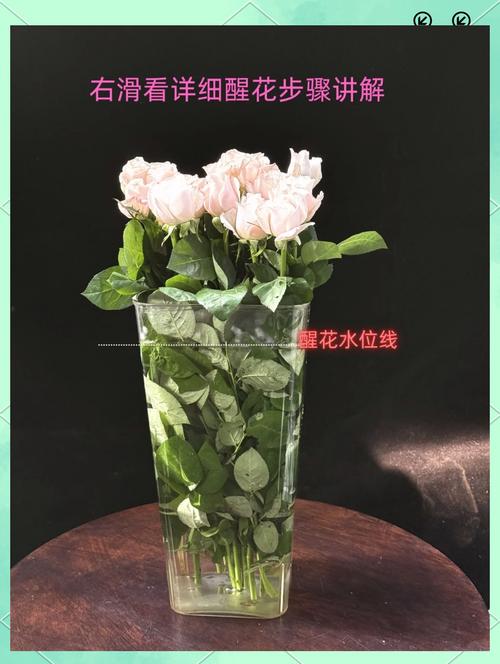 鲜花拿回来怎么醒花?资深花友教你5个步骤,让鲜花瞬间复活 常见问题与误区