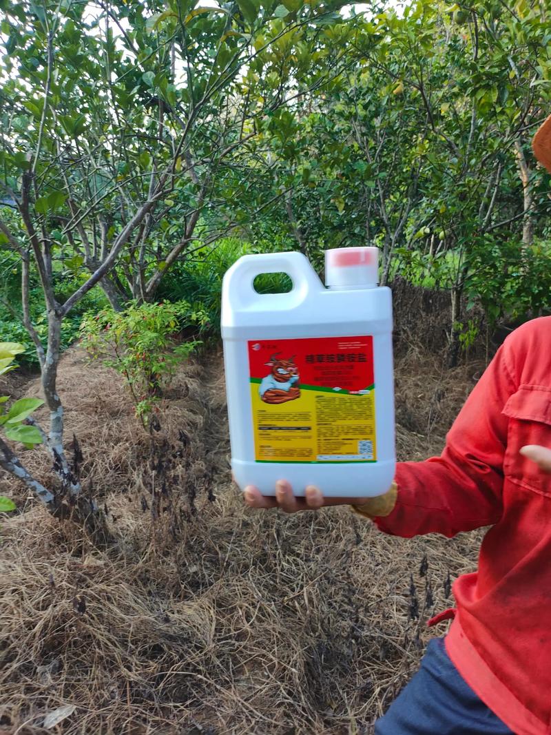 除草剂过期6年还能用吗?园艺专家告诉你真相 四、判断过期除草剂是否还能用的3个方法