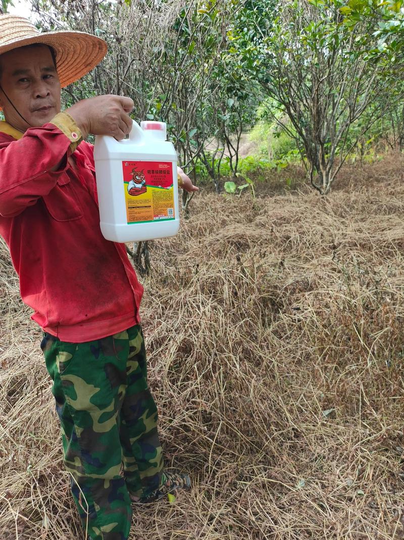除草剂过期6年还能用吗?园艺专家告诉你真相 结论