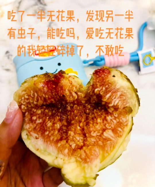 无花果里面有虫子是真的吗？专家解读食用安全与处理方法