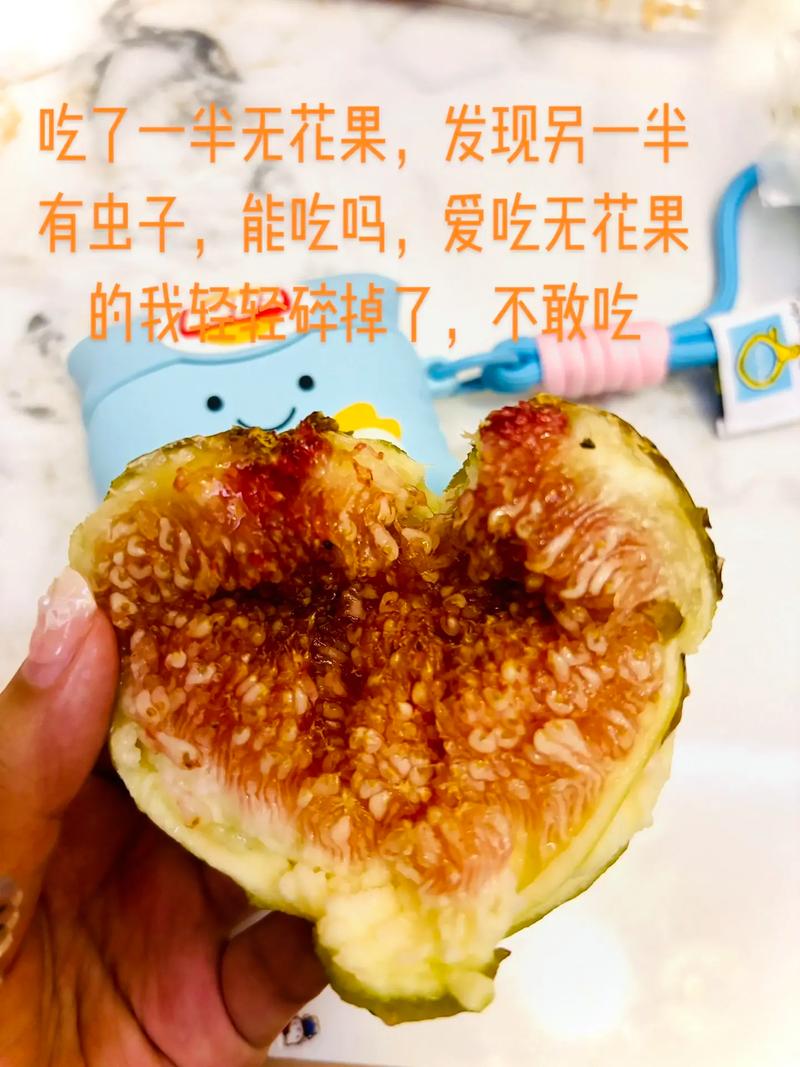 无花果里面有虫子是真的吗?专家解读食用安全与处理方法 无花果里面有虫子是真的吗?专家解读食用安全与处理方法