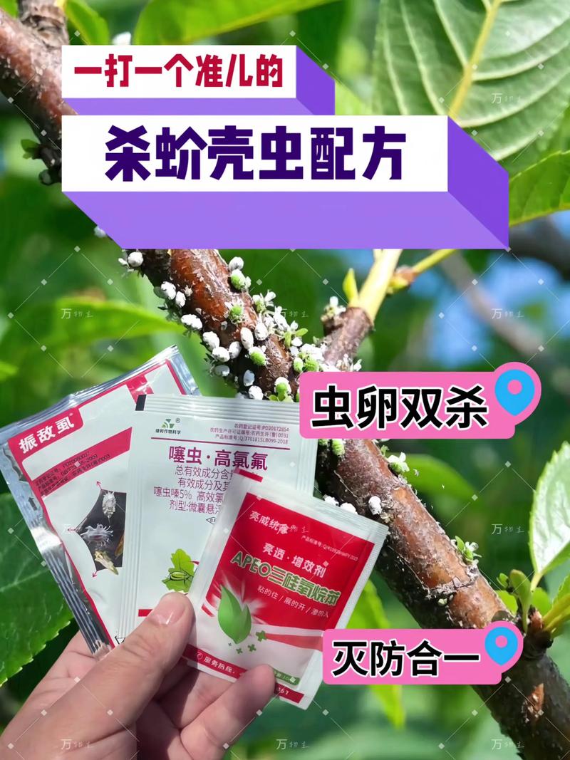 花椒树蚧壳虫怎么治?这份防治指南请收好 四、特别提醒