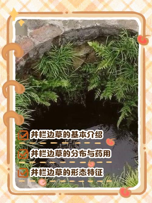 苦草在水景生态中的核心作用:净化机理与池塘河道配置指南 常见错误清单(避坑指南)