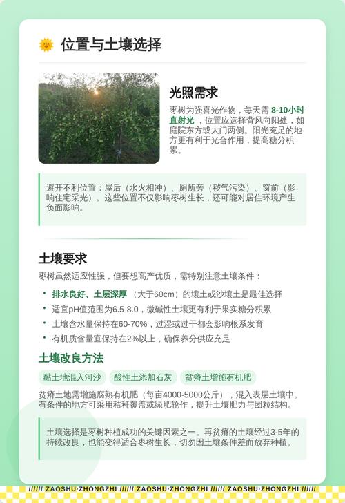 二、果树品种推荐与采购质量三重检验（针对枣树）
