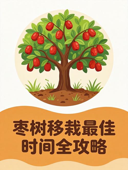 七、缓苗期管理（栽后0-30天）
