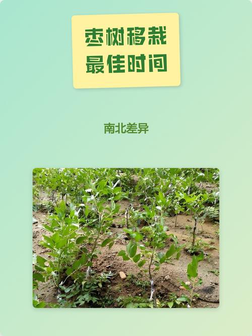总结流程