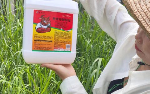 2026年除草剂的种类有哪些？全面解析土壤处理剂与茎叶处理剂的区别