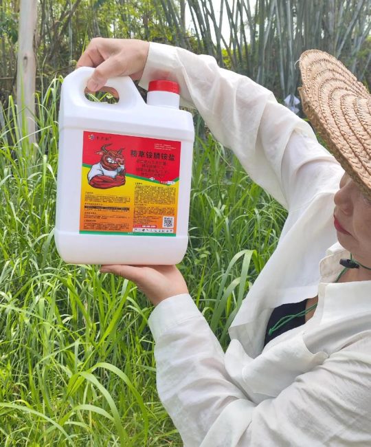 2026年除草剂的种类有哪些？全面解析土壤处理剂与茎叶处理剂的区别