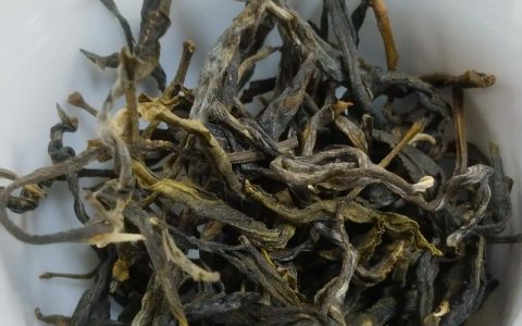 冰岛古树茶：解密普洱茶中的珍稀树种与独特风味