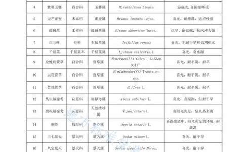 护坡种什么植物最好？工程绿化专家的分类选配与施工参数指南
