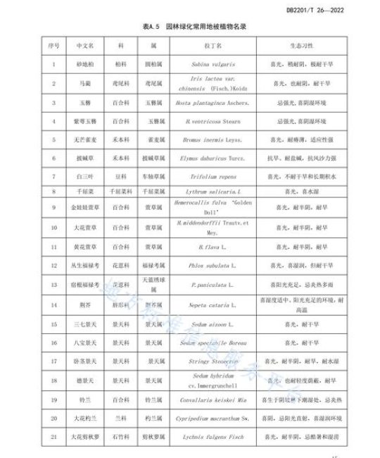 护坡种什么植物最好？工程绿化专家的分类选配与施工参数指南