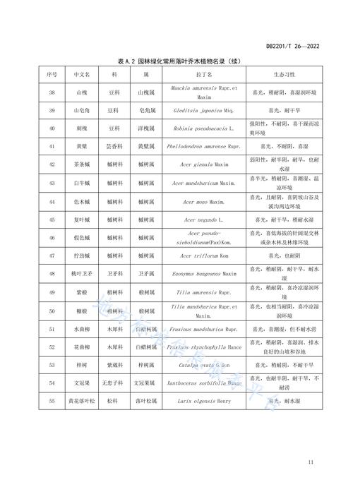 护坡种什么植物最好?工程绿化专家的分类选配与施工参数指南 二、土质缓坡(坡度<30°):草灌混播为主