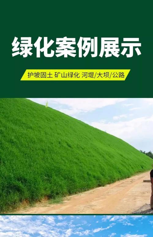 护坡种什么植物最好?工程绿化专家的分类选配与施工参数指南 五、苗木规格与运输要求(适用于所有类型)