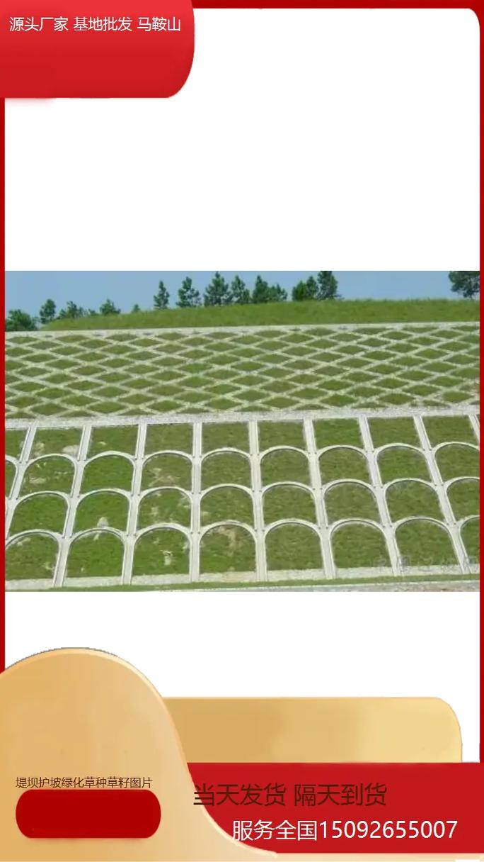 护坡种什么植物最好?工程绿化专家的分类选配与施工参数指南 七、季节性养护节点