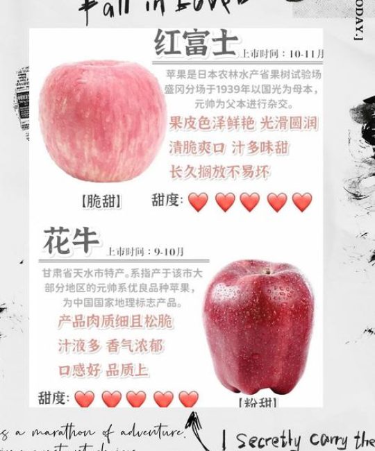 苹果的种类一共有多少种？核心结论：全球苹果品种超过7500种，但商业化种植约50-100种，选购时优先选择适合本地气候的嫁接成品苗。